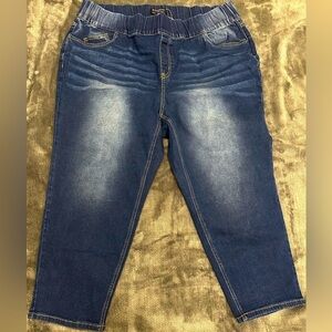 BloomChic Plus Size Classic Wash Stretchy Waist Skinny-Fit Jeans